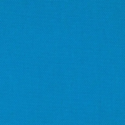 Duck Canvas by James Thompson in Turquoise