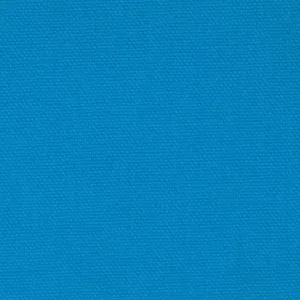 Duck Canvas by James Thompson in Turquoise