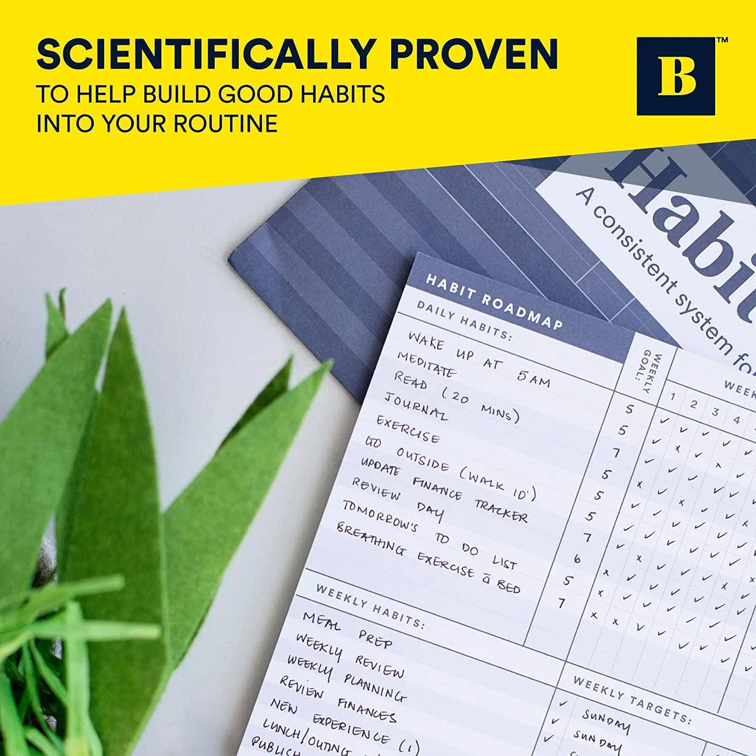 Habit Roadmap